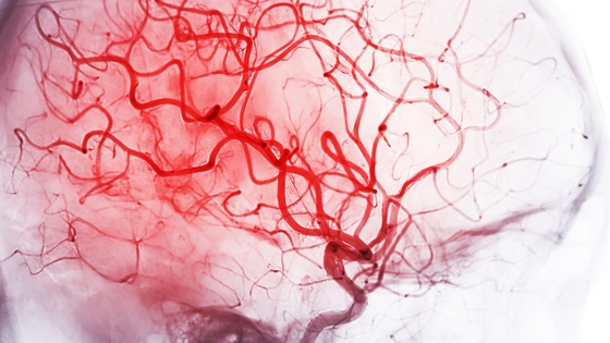 A new therapeutic ‘molecular glue’ that helps seal and repair one of the earliest changes in Alzheimer’s disease